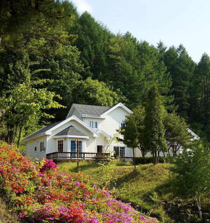 Resort Feliz Pyeongchang Exterior photo